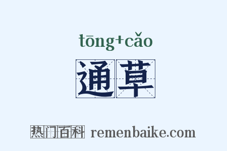 通草是什么意思的图片